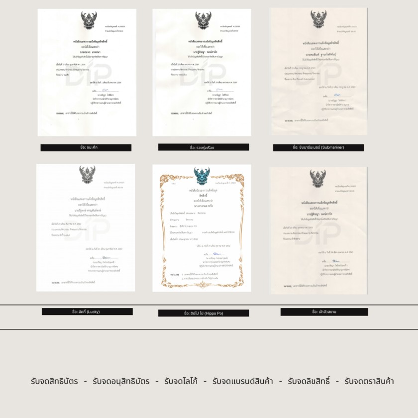 ผลงาน